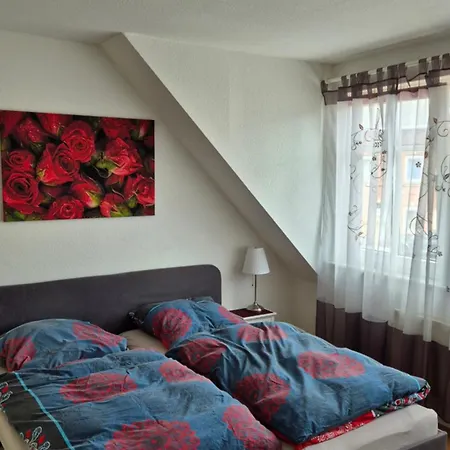 Moin Apartment